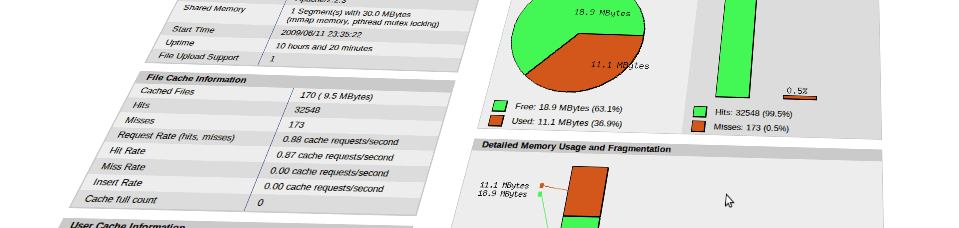 APC and Memcache with Magento